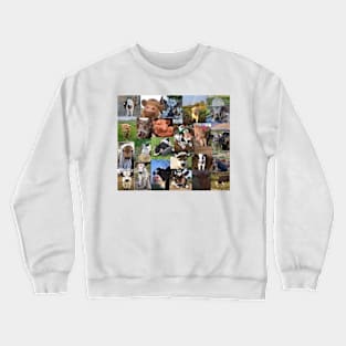 cows aesthetic collage Crewneck Sweatshirt